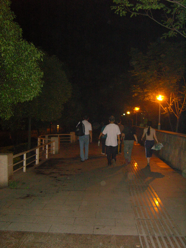  snc10087.jpg