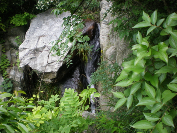 20100526_24.jpg