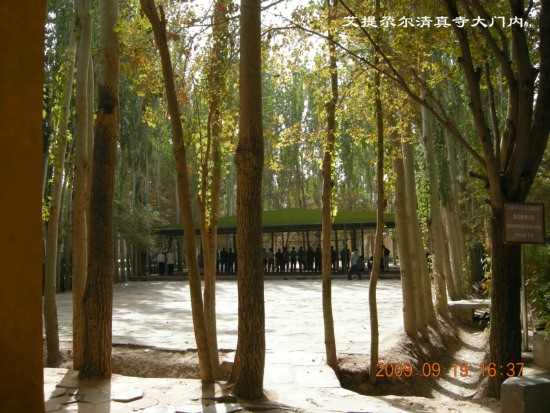 dscn3935.jpg