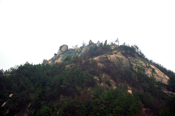 dsc_1713.jpg