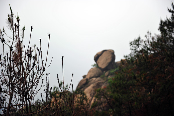 dsc_1717.jpg