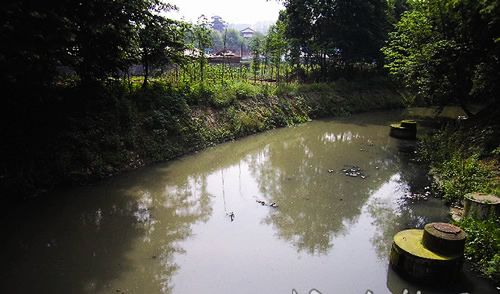 img272402807-ҺȾ.jpg