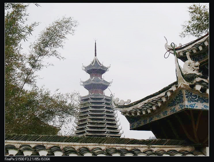 dscf4580.jpg