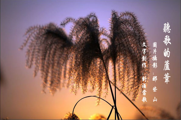 http_imgload8副本1.jpg