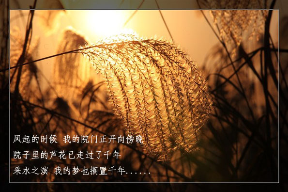 http_imgload1副本2.jpg