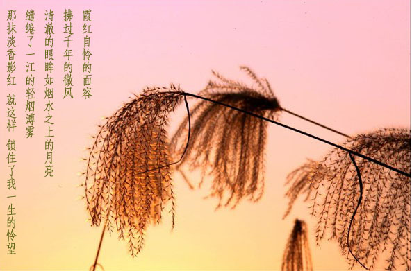 http_imgload5副本4.jpg
