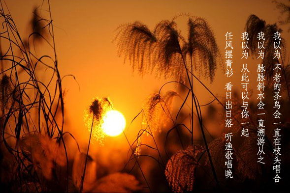 http_imgload10副本5.jpg