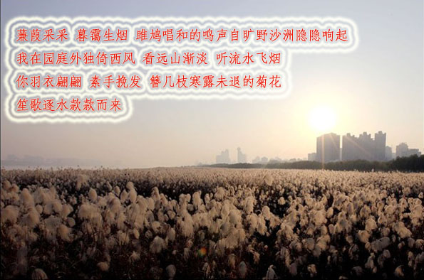 http_imgload7副本3.jpg