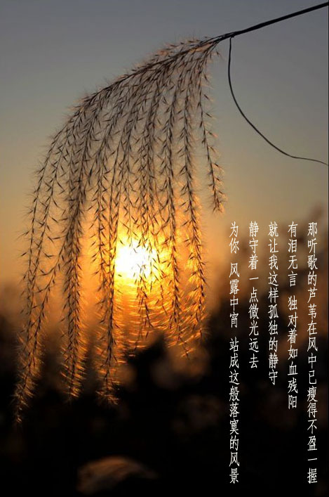http_imgload9副本.jpg