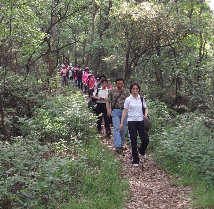 Ƭ 045.jpg
