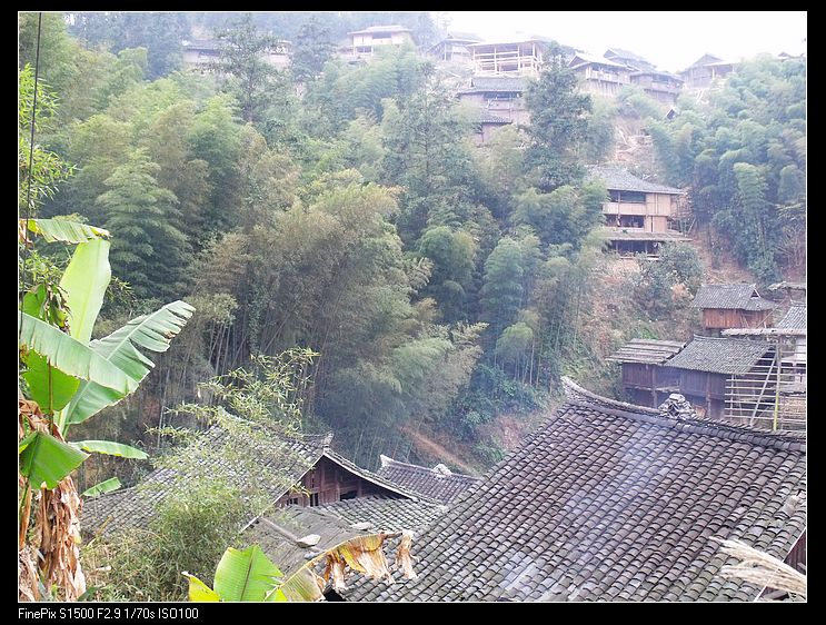 dscf4628.jpg