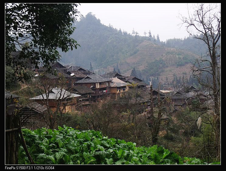 dscf4611.jpg