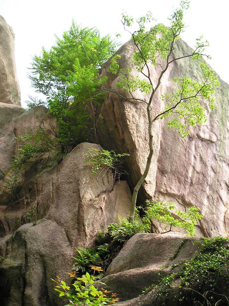 p1010334.jpg