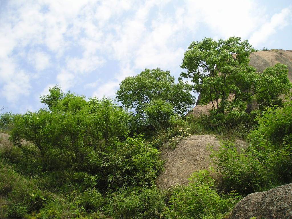 p1010400.jpg