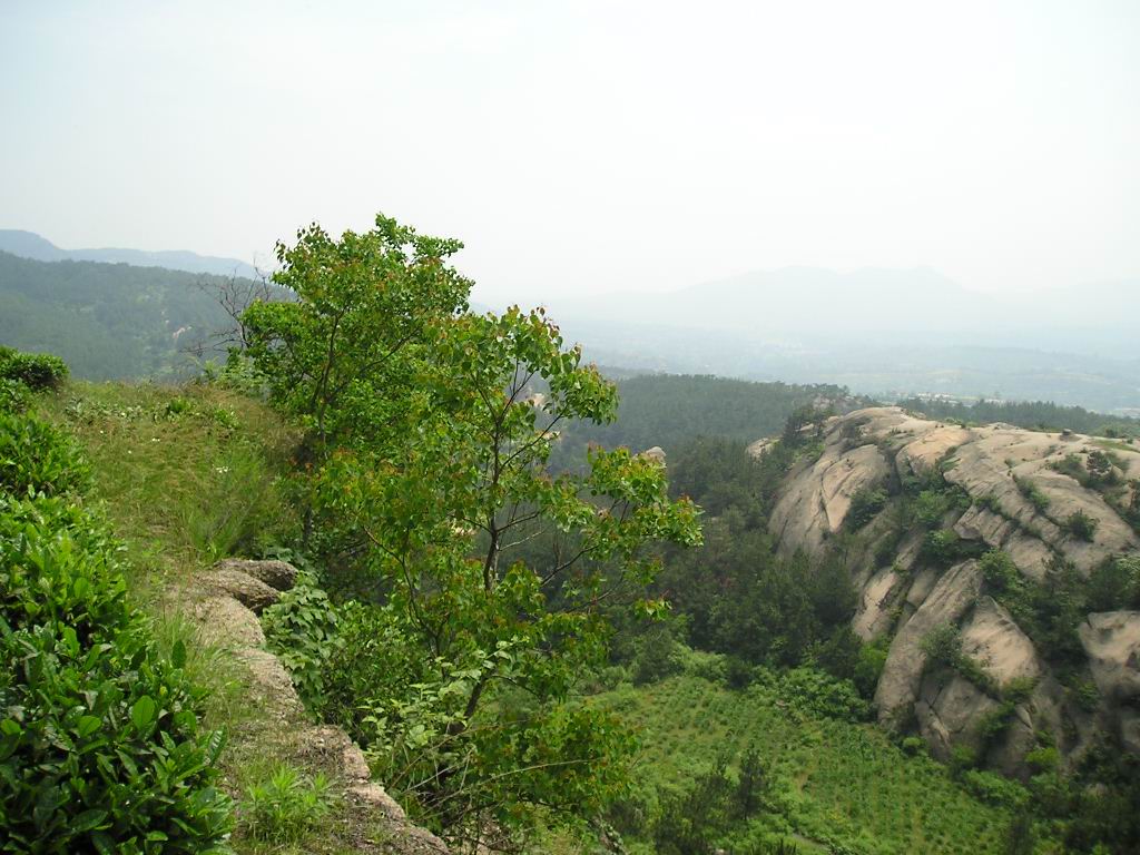 p1010404.jpg