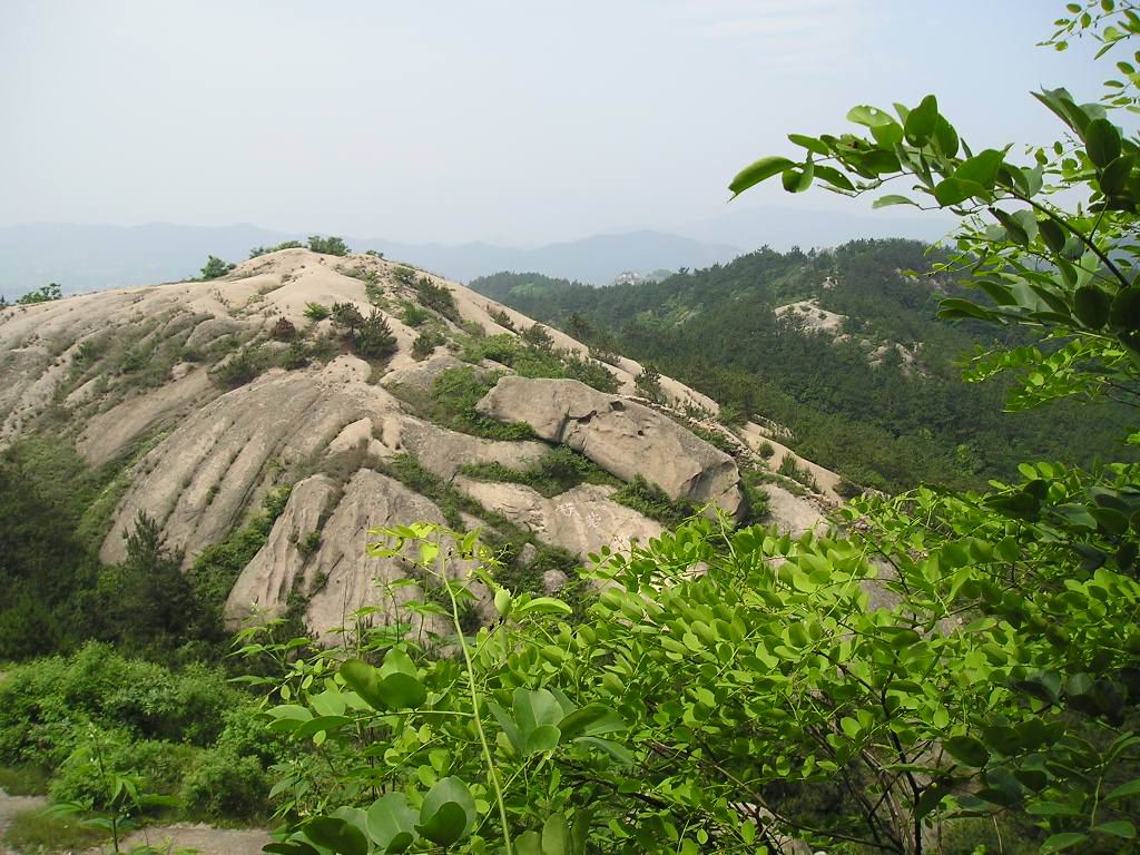 p1010411.jpg