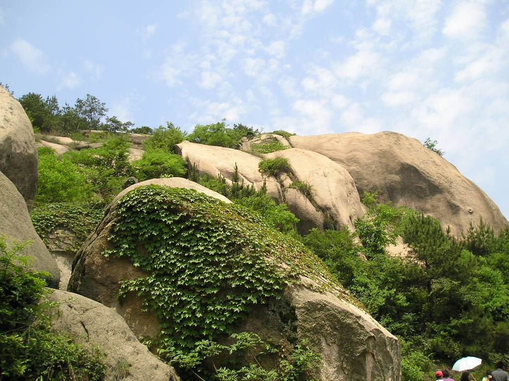 p1010426.jpg