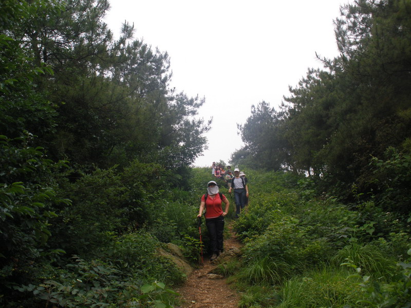 p5290011_СС.jpg