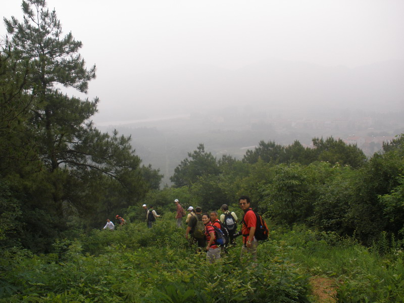 p5290012_СС.jpg