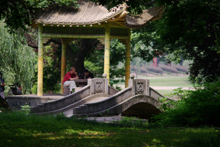 imgp2879.jpg