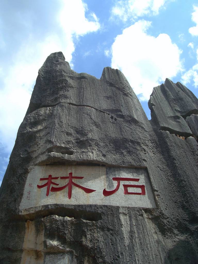 dsc07837.jpg