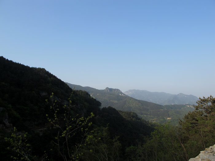 yuen 012.jpg