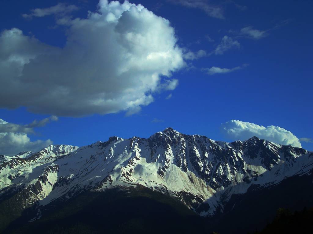 dsc07973.jpg