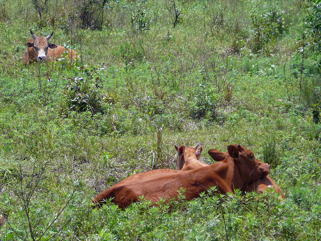 p1110736.jpg