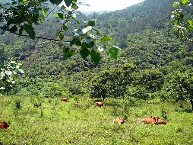 p1110735.jpg
