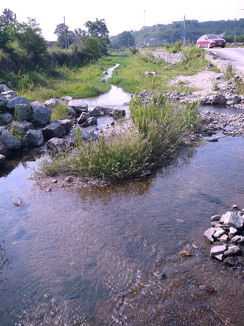 p1110833.jpg