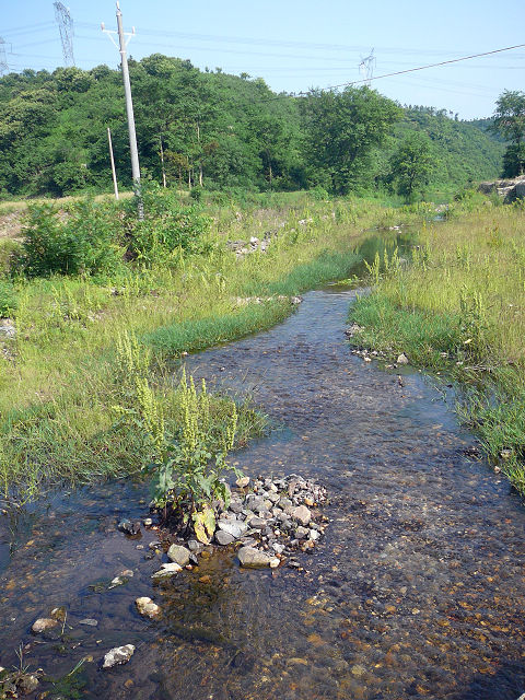 p1110836.jpg