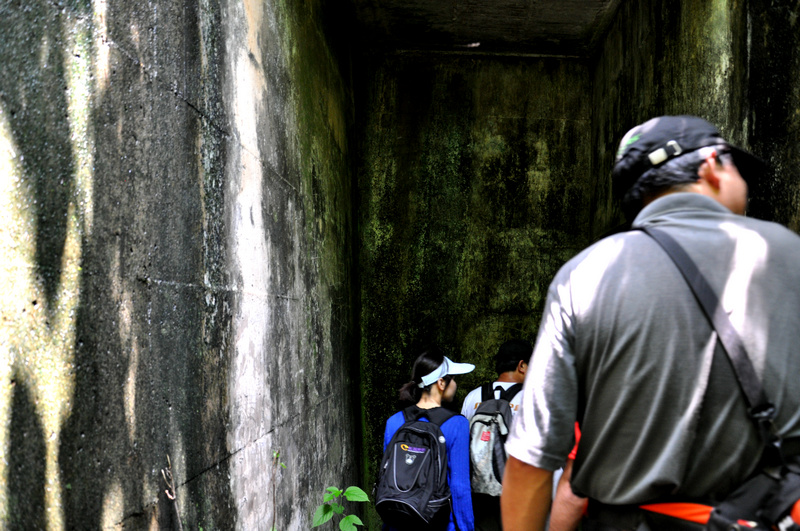 dsc_0186.jpg