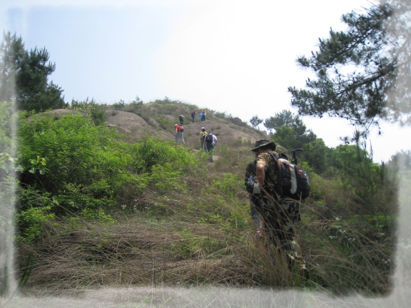 conew_img_3936.jpg