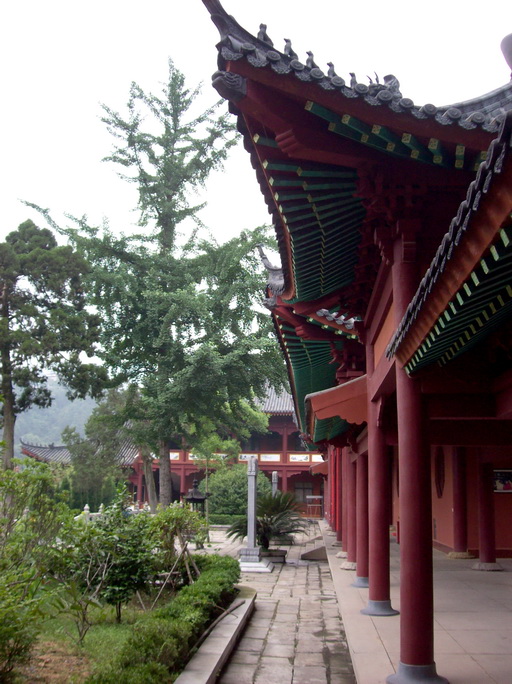100_3596.jpg