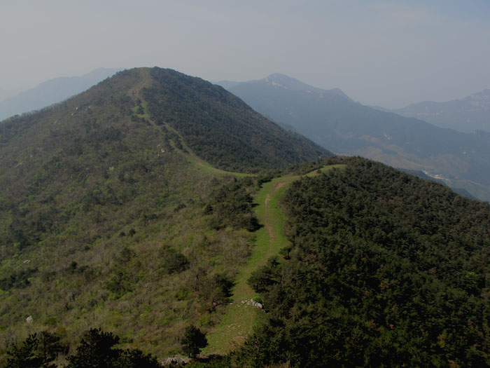 yuen 063.jpg