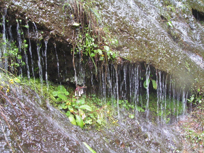 pict0222_С.jpg