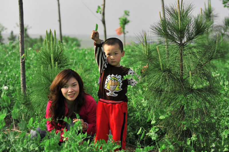 Ƭ 059.jpg