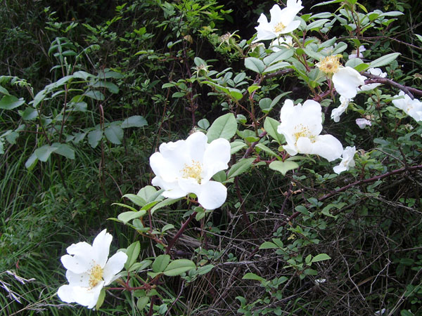 s73r4489.jpg