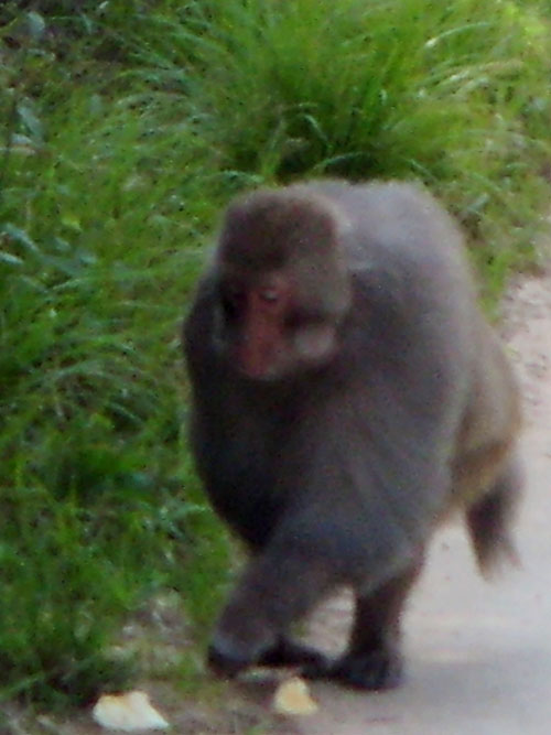 s73r4487.jpg