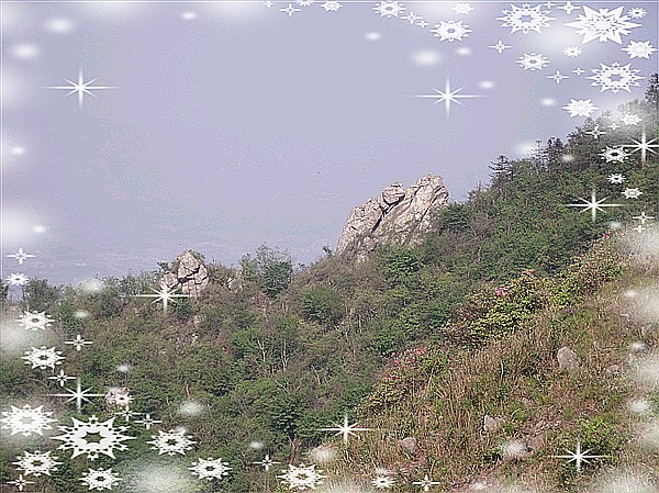 װݽ﹵װʻʯկ 010_.jpg
