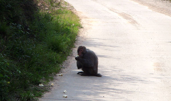 s73r4486.jpg
