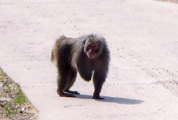 s73r4481.jpg
