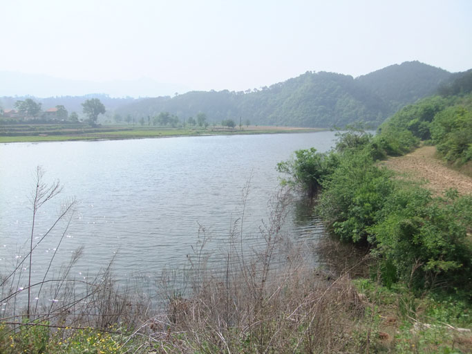 dscf0542.jpg