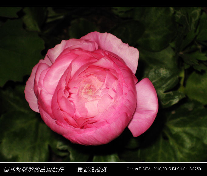 img_0038.jpg