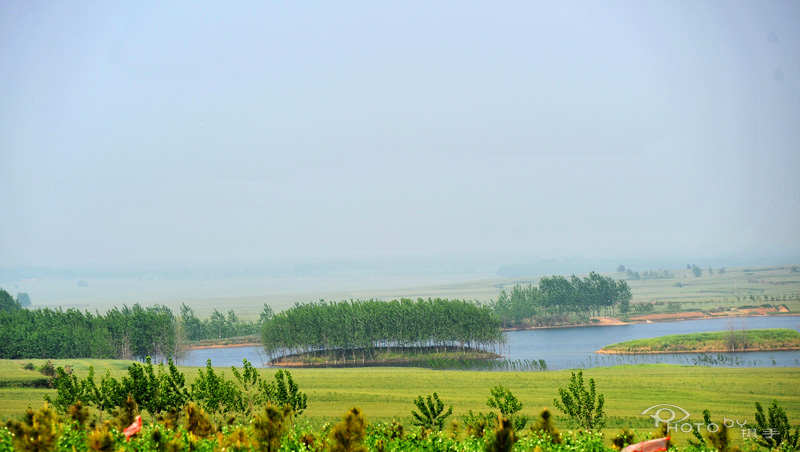 dxh_0289.jpg