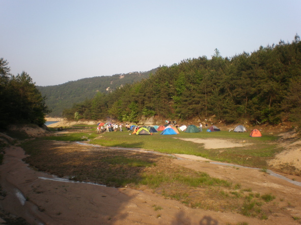 p5020008.jpg