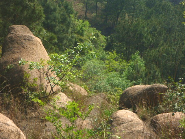 p1000579_.jpg