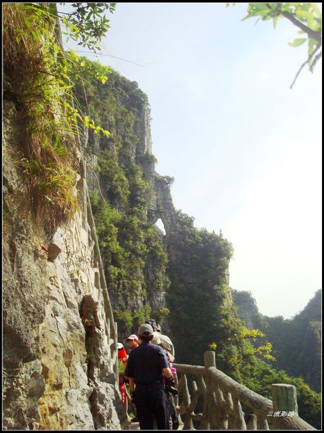 neo_img_dsc03027.jpg