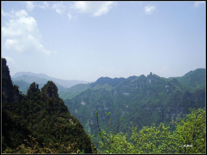 neo_img_dsc03116.jpg