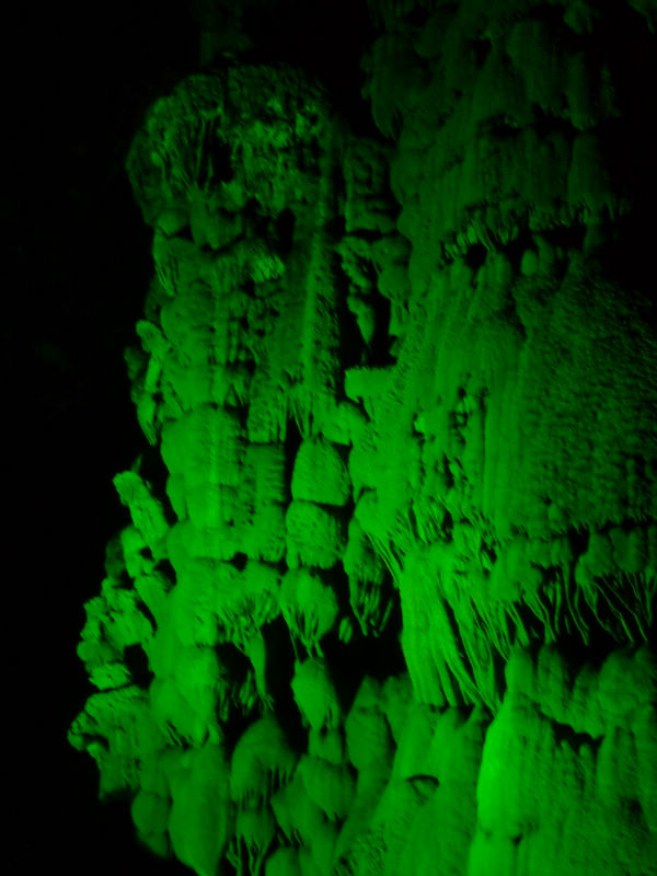 dscf1187.jpg